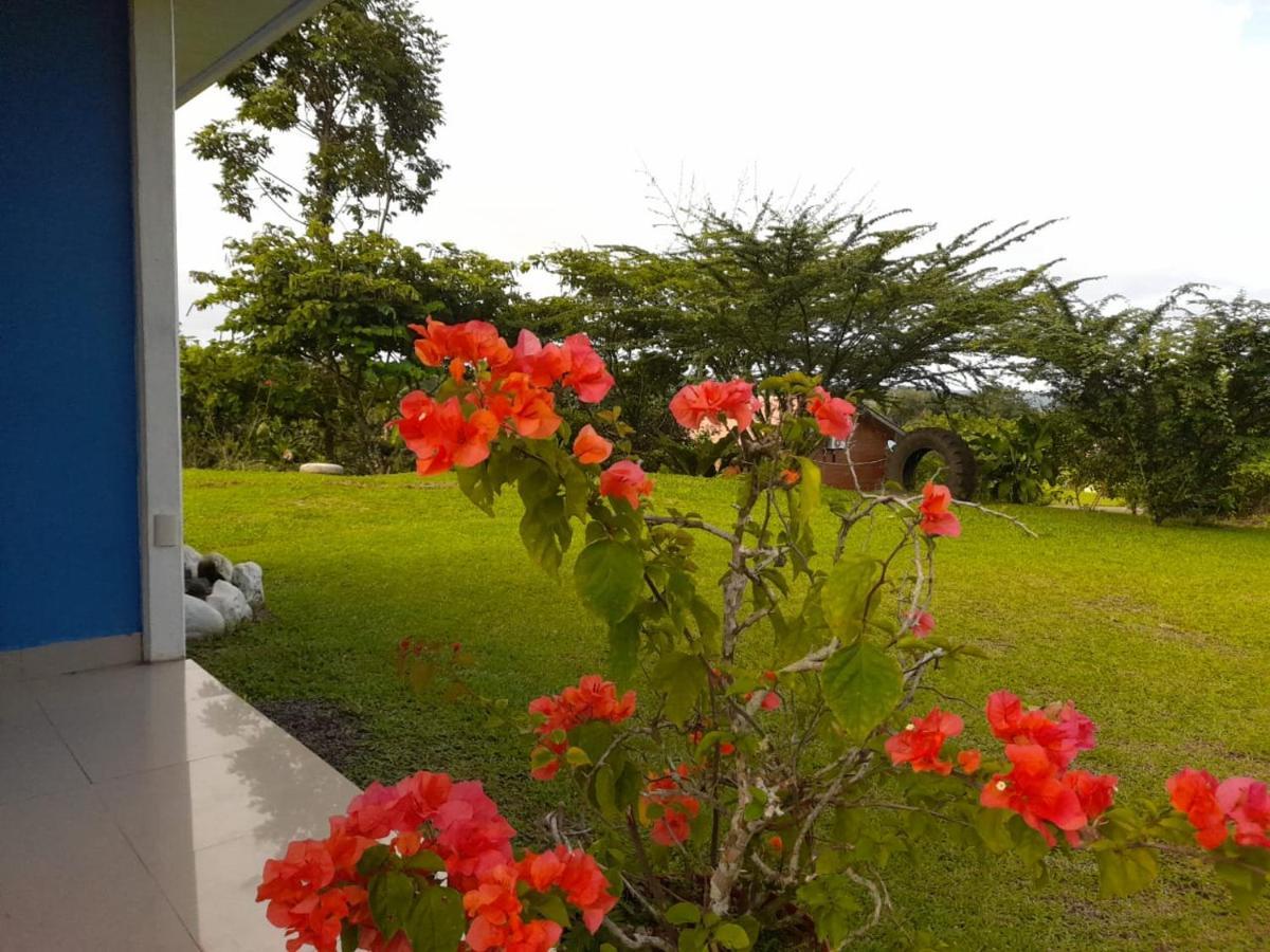 Casa De Campo Heliconia La Fortuna Exterior foto